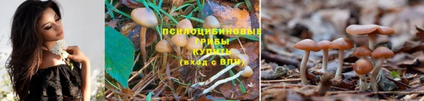 не бодяженный Лабытнанги