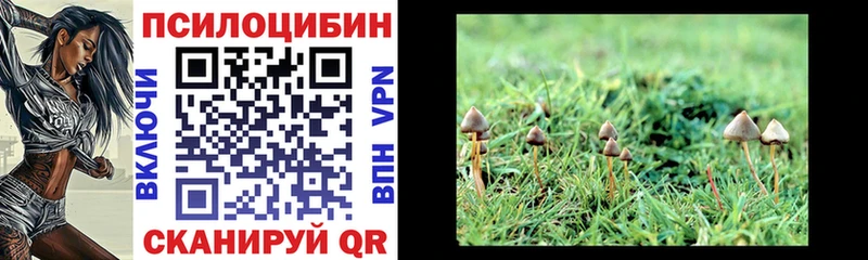 ОМГ ОМГ ссылка  Мариинск  Галлюциногенные грибы MAGIC MUSHROOMS 