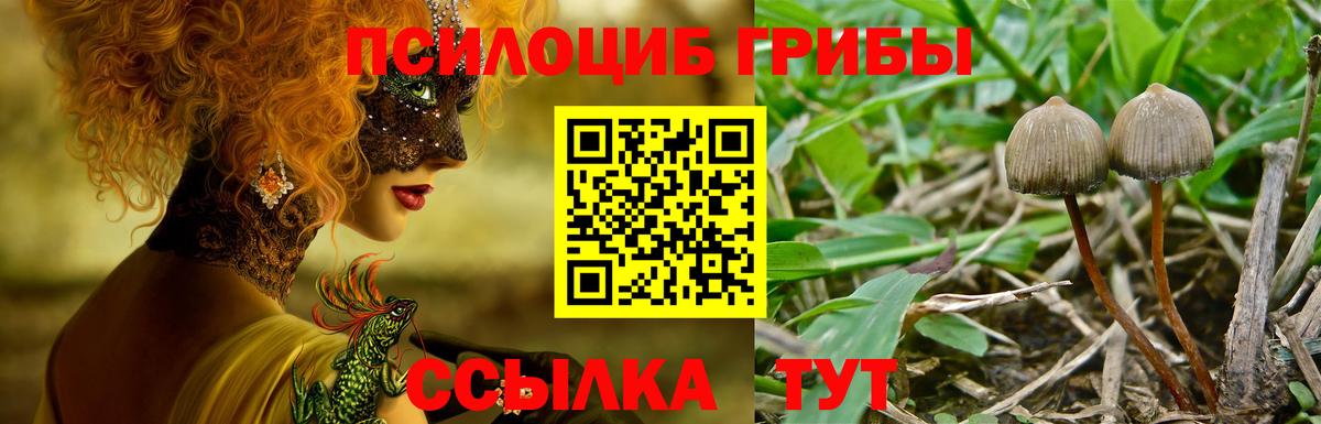 Галлюциногенные грибы мухоморы  Псилоцибиновые грибы GOLDEN TEACHER  Мариинск  Вход с VPN 